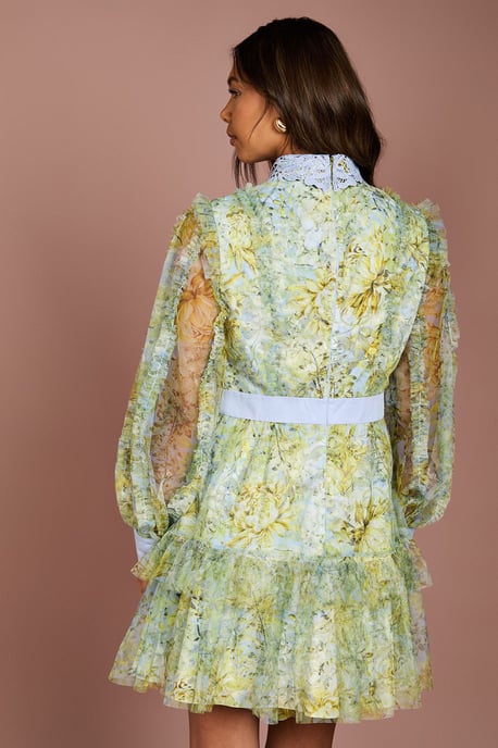 Collared Printed Mesh Mini Dress - Image 2