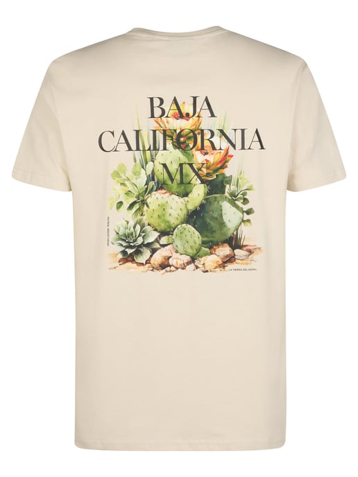 Petrol Industries - Heren T-shirt met rugprint Magma - Wit - Image 2