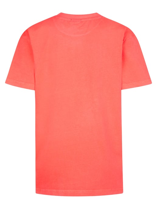 Petrol Industries - Jongens Jersey T-shirt Saguaro - Roze - Image 2