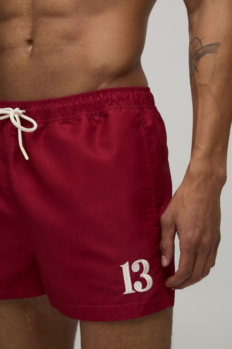 Embroidered Stripe Super Short Swim Short - Image 3