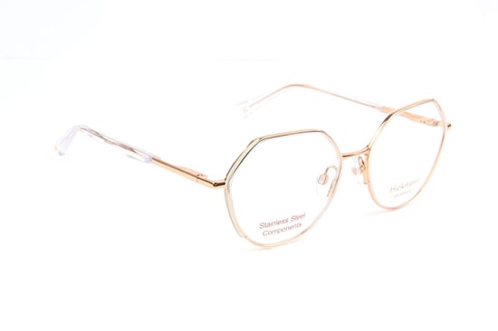 Ana Hickmann Sunglasses Clip HI1260G T01G 53 - Image 1