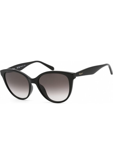 Salvatore Ferragamo SF1073S 54 001 Fashion Sunglasses - Image 1