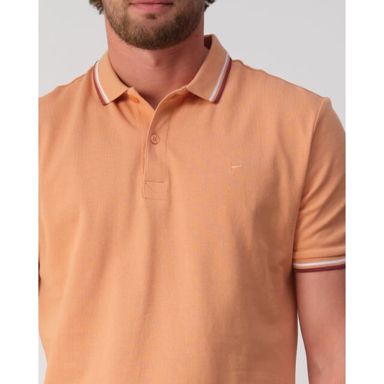 Campbell Polo - Image 2