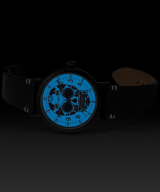 Timex Waterbury Standard Dia De Los Muertos Men's Black Watch TW2U95200 - Image 4