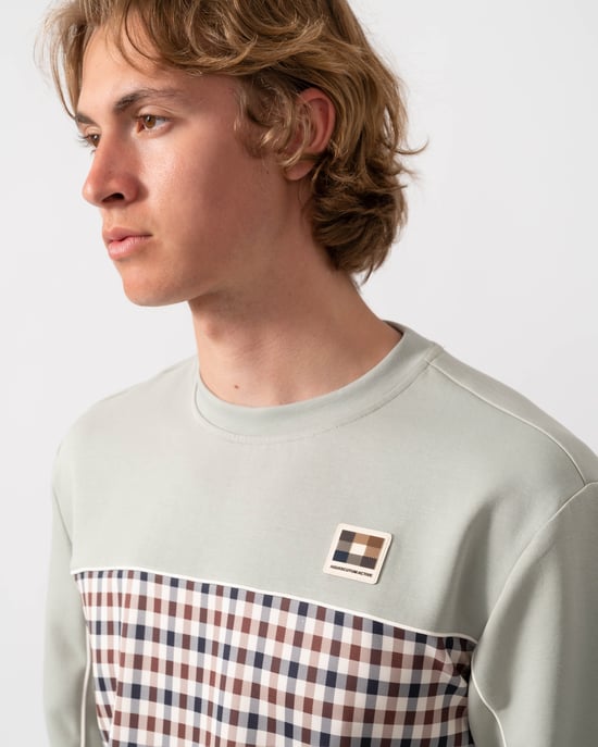 Crewneck Sweatshirt in Light Grey - Image 4