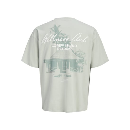 Jack & Jones Jcoeterna script back print tee ss sa26 mint - Image 2