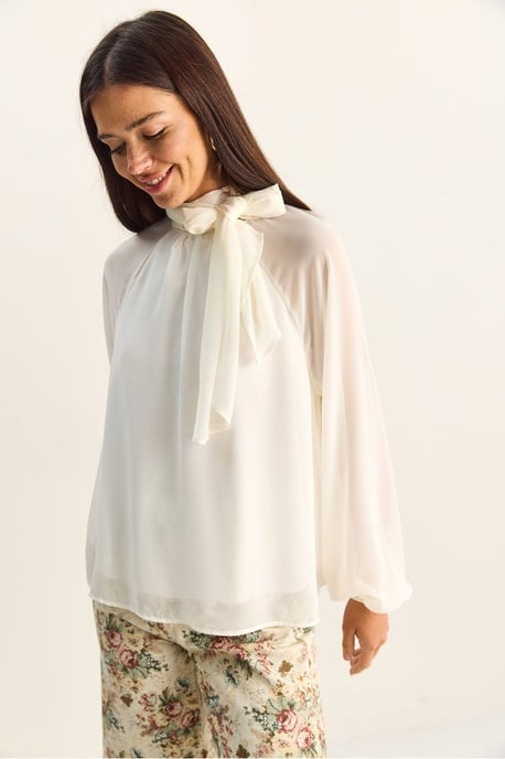 Coltrui Chiffon Blouse - Image 5