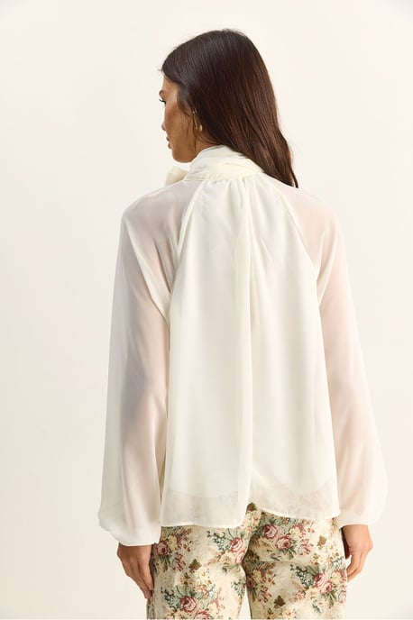 Coltrui Chiffon Blouse - Image 6