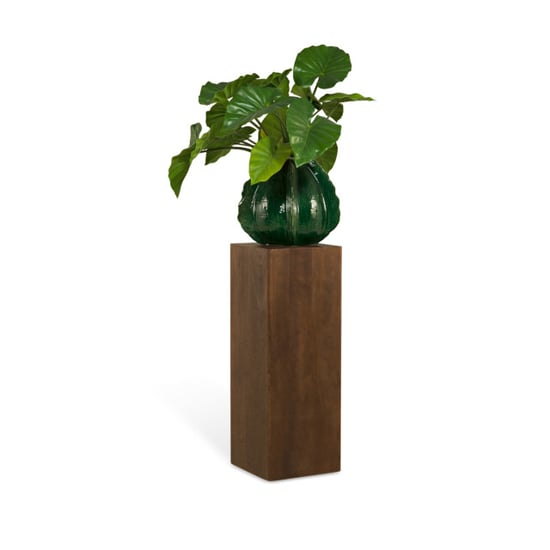 Multifurn Plantenstandaard bora 80cm - Image 4