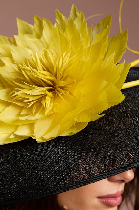 Lisa Tan Feather And Quill Detail Wide Brim Hat - Image 3