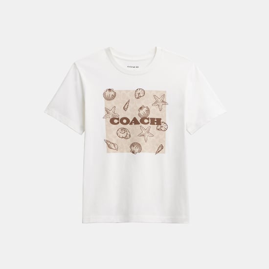 Shell Signature Square Classic T-Shirt In Organic Cotton - Image 1