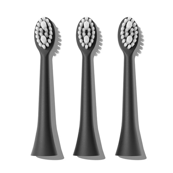 Spotlight Oral Care Sonic Toothbrush Replacement Heads In Black - Image 2