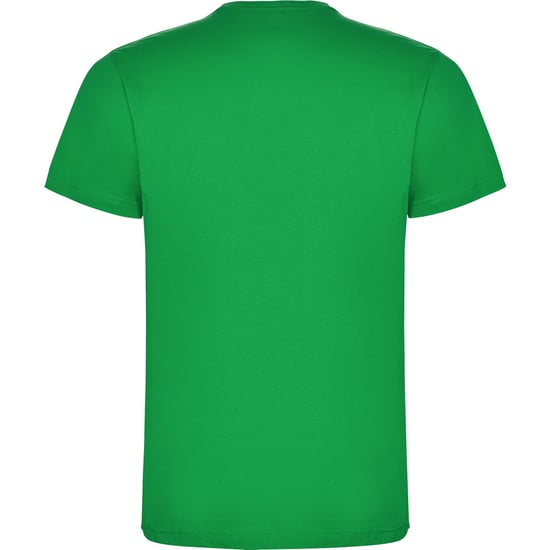 Roly Heren Dogo Premium T-Shirt (Iers Groen) - Image 2