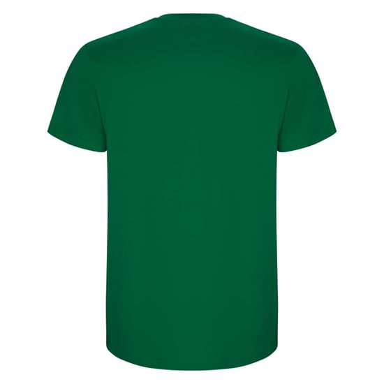 Roly Heren Stafford T-Shirt (Kelly Groen) - Image 2