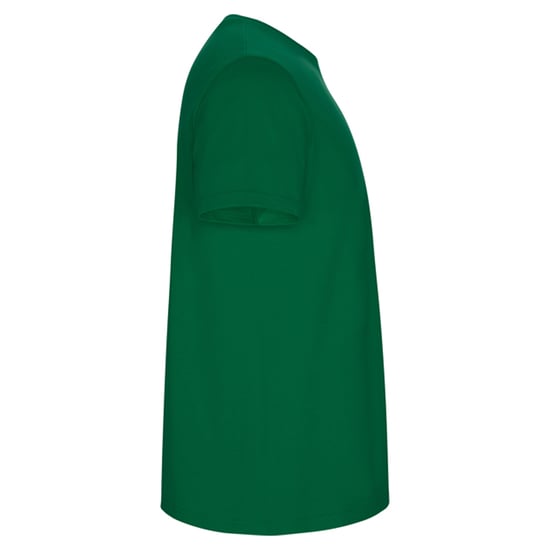 Roly Heren Stafford T-Shirt (Kelly Groen) - Image 4