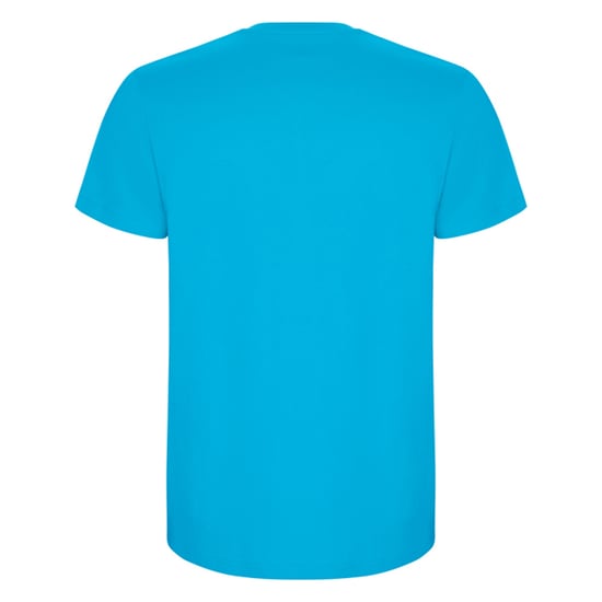 Roly Heren Stafford T-Shirt (Turquoise) - Image 2
