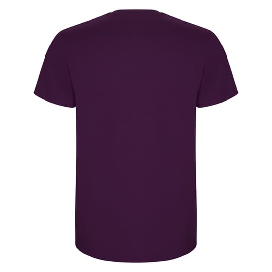 Roly Heren Stafford T-Shirt (Paars) - Image 2
