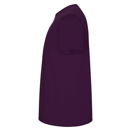 Roly Heren Stafford T-Shirt (Paars) - Image 3