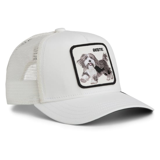Goorin Bros. Pet - Image 4