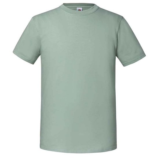 Fruit of the Loom Heren Iconic 195 Premium Ringspun Katoen T-Shirt (Salie) - Image 1