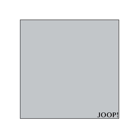 Joop Hoeslakens - Image 3