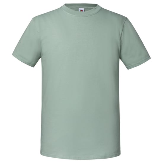 Fruit of the Loom Unisex Adult Iconic 195 T-Shirt (Sage) - Image 1