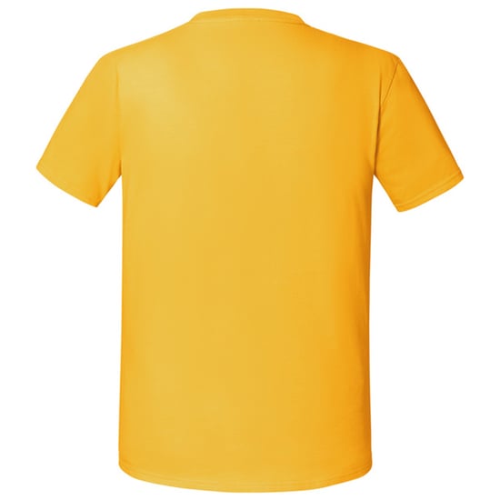 Fruit of the Loom Unisex volwassen iconisch 195 T-shirt (Zonnebloem) - Image 2