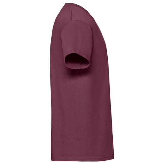 Fruit of the Loom Unisex Adult Iconic 195 T-Shirt (Burgundy) - Image 3