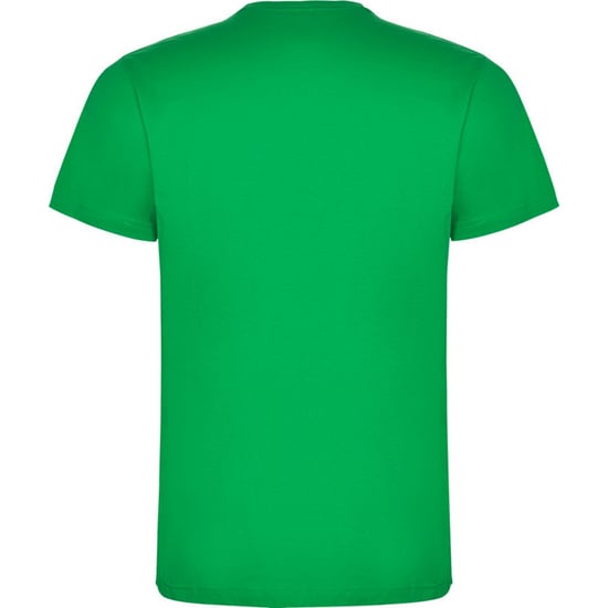 Roly Kinderen/Kinderen Dogo Katoen T-Shirt (Iers Groen) - Image 2