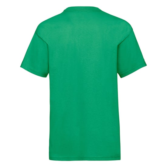 Fruit of the Loom Kinder/Kids Waardevol T-Shirt (Kelly Groen) - Image 2