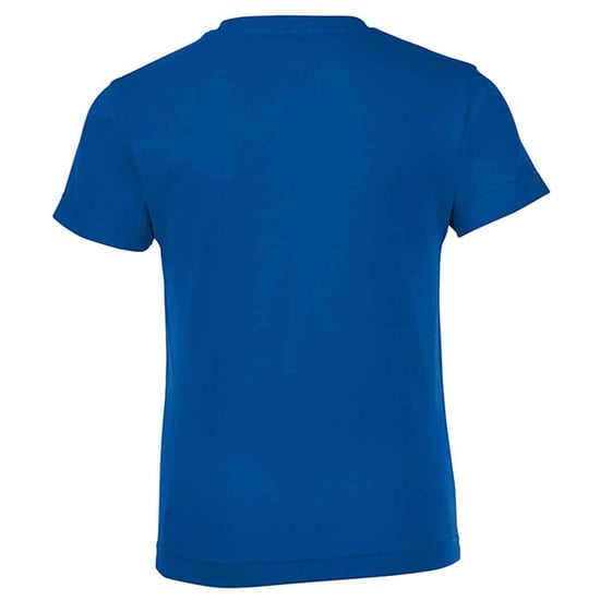 SOLS Kinderen/Kinderen Normaal T-Shirt (Koningsblauw) - Image 2