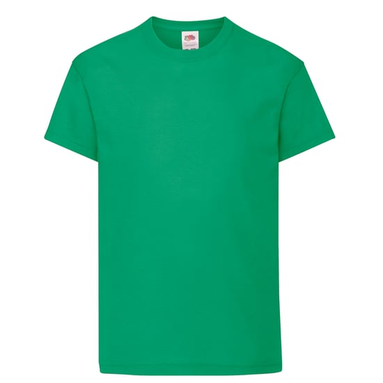 Fruit of the Loom Childrens/Kids Original T-Shirt (Kelly Green) - Image 1