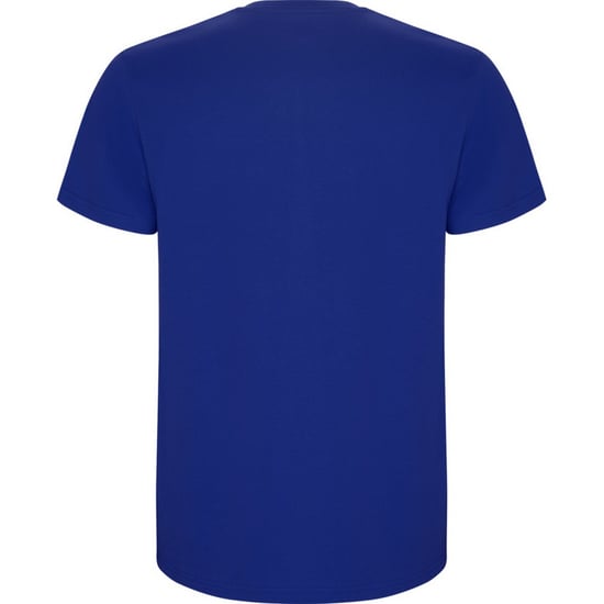 Roly Kinderen/Kinderen Stafford T-Shirt (Koningsblauw) - Image 2
