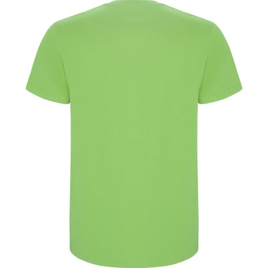 Roly Kinderen/Kinderen Stafford T-Shirt (Oase Groen) - Image 2