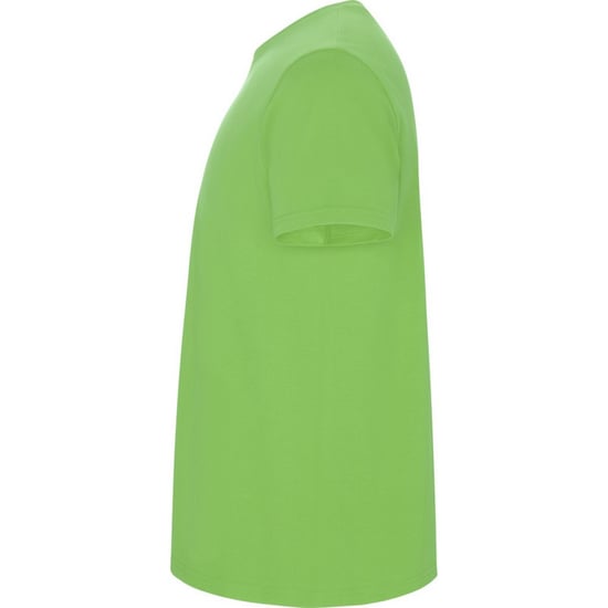 Roly Kinderen/Kinderen Stafford T-Shirt (Oase Groen) - Image 3