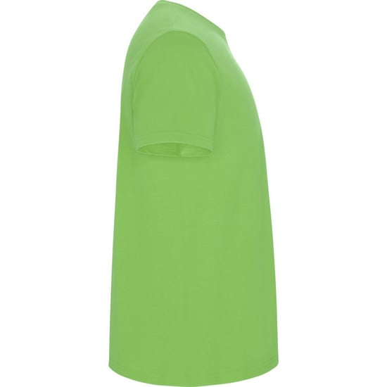 Roly Kinderen/Kinderen Stafford T-Shirt (Oase Groen) - Image 4