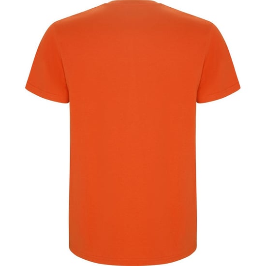 Roly Kinderen/Kinderen Stafford T-Shirt (Oranje) - Image 2