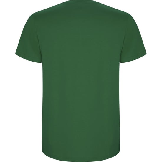 Roly Kinderen/Kinderen Stafford T-Shirt (Kelly Groen) - Image 2