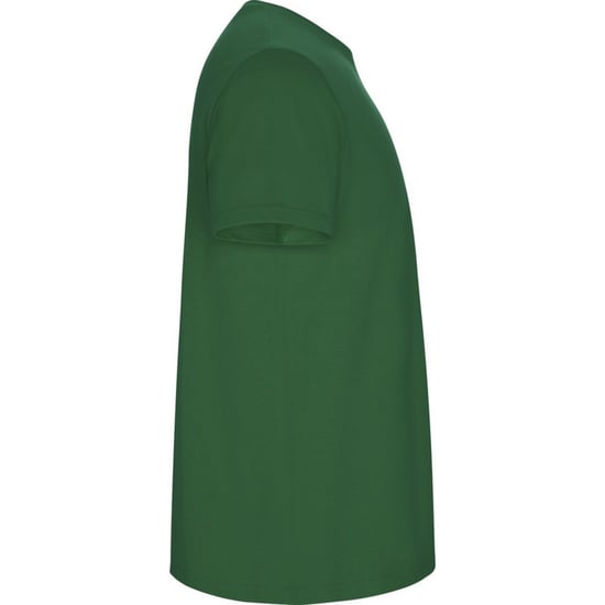 Roly Kinderen/Kinderen Stafford T-Shirt (Kelly Groen) - Image 3