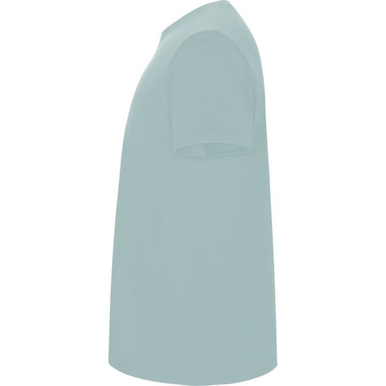 Roly Kinderen/Kinderen Stafford T-Shirt (Gewassen blauw) - Image 3