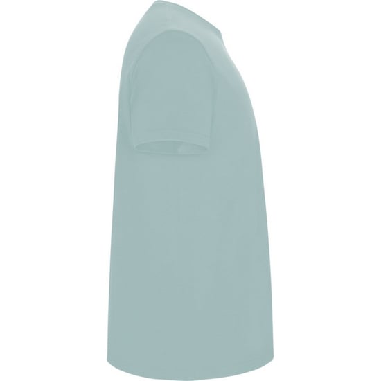 Roly Kinderen/Kinderen Stafford T-Shirt (Gewassen blauw) - Image 4