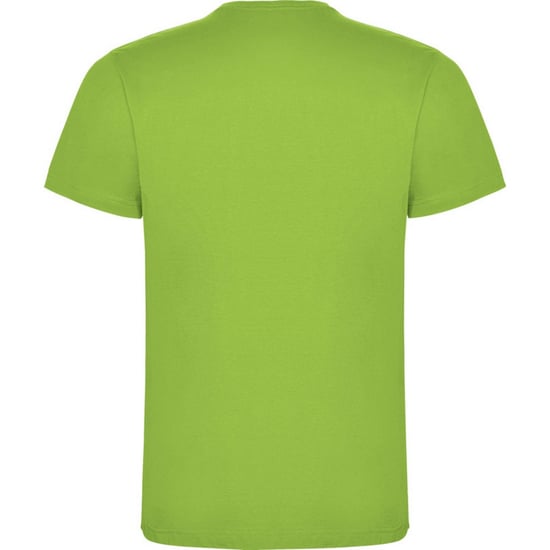 Roly Kinderen/Kinderen Dogo Katoen T-Shirt (Oase Groen) - Image 2