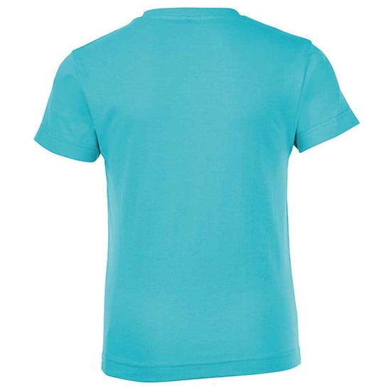 SOLS Kinderen/Kinderen Normaal T-Shirt (Atol blauw) - Image 2