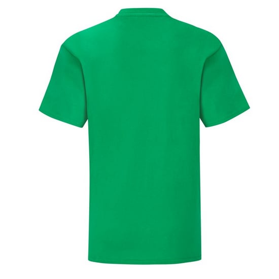 Fruit of the Loom Effen Kinder/Kids Iconic 150 T-Shirt (Kelly Groen) - Image 2