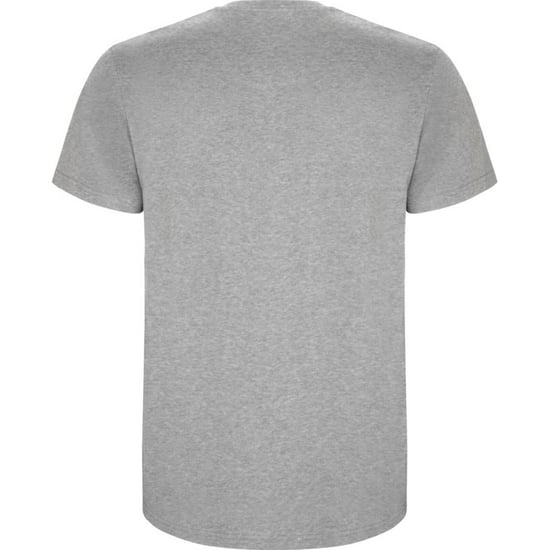 Roly Kinderen/Kinderen Stafford T-Shirt (Heide Grijs) - Image 2