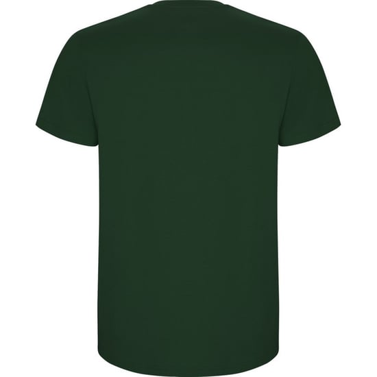 Roly Kinderen/Kinderen Stafford T-Shirt (Fles groen) - Image 2