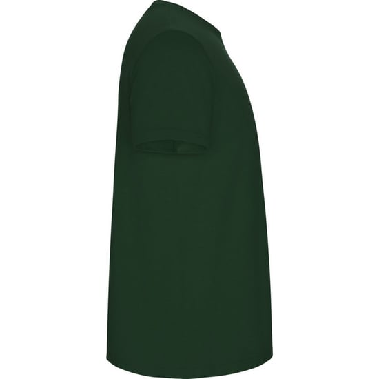 Roly Kinderen/Kinderen Stafford T-Shirt (Fles groen) - Image 4