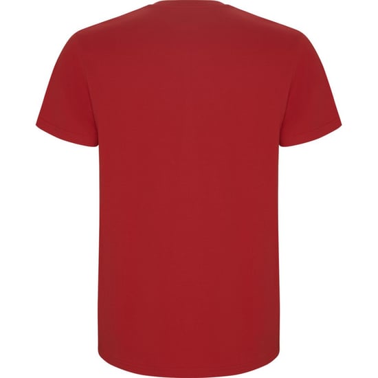 Roly Kinderen/Kinderen Stafford T-Shirt (Rood) - Image 2