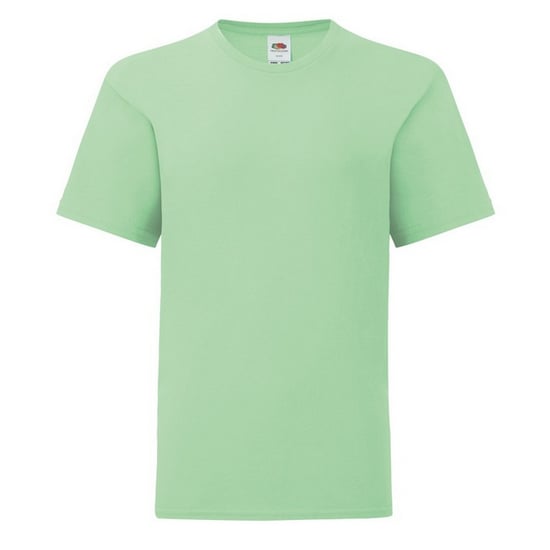 Fruit of the Loom Effen Kinder/Kids Iconic 150 T-Shirt (Neo Munt) - Image 1