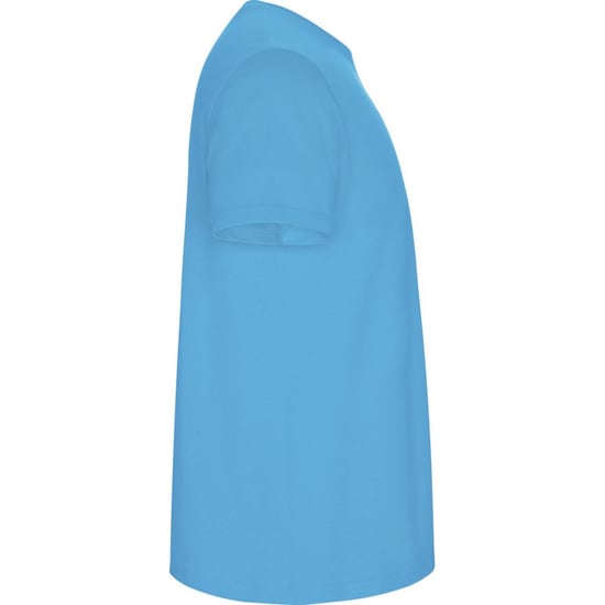 Roly Kinderen/Kinderen Stafford T-Shirt (Turquoise) - Image 4